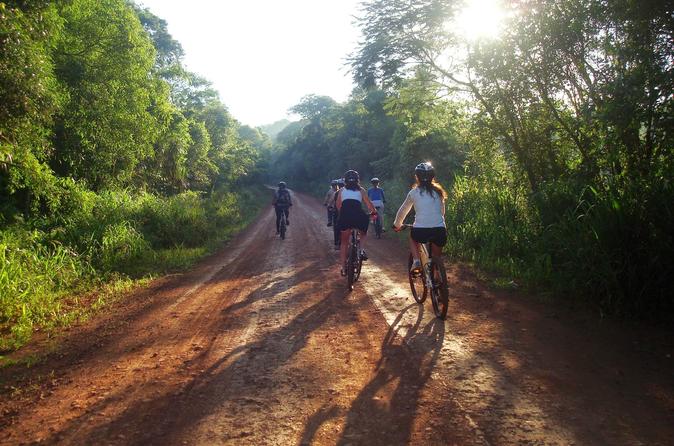 bike into the forest along the jaguar road