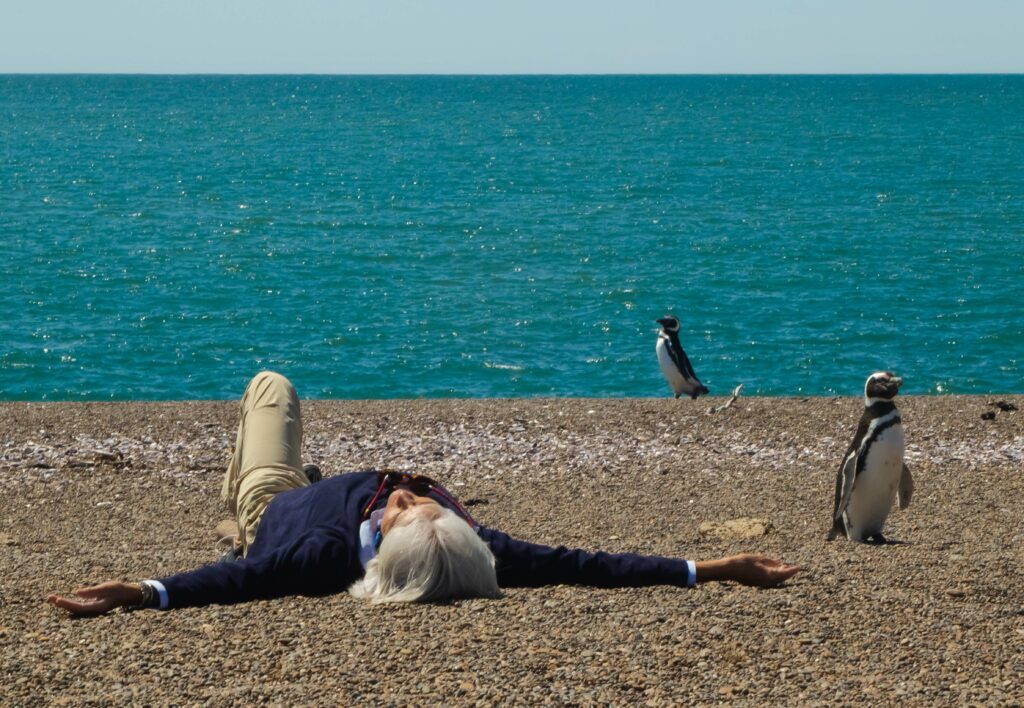 Estancia San Lorenzo, Tierra de Pinguinos